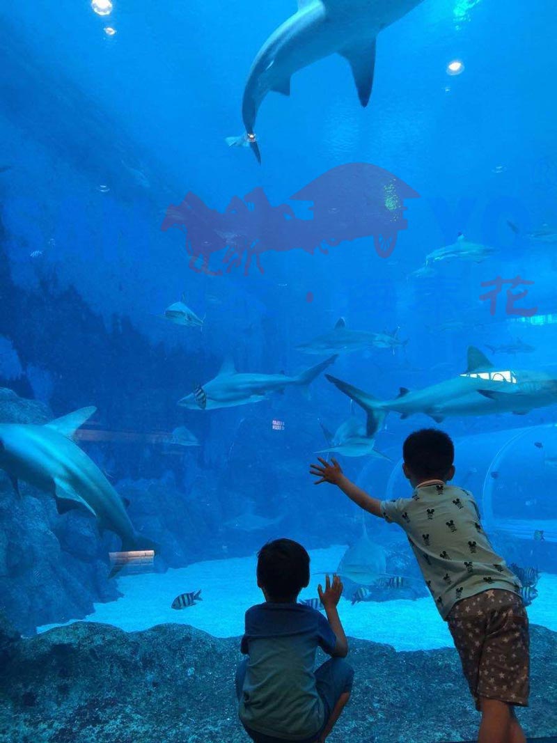 海洋馆效果 海洋馆效果